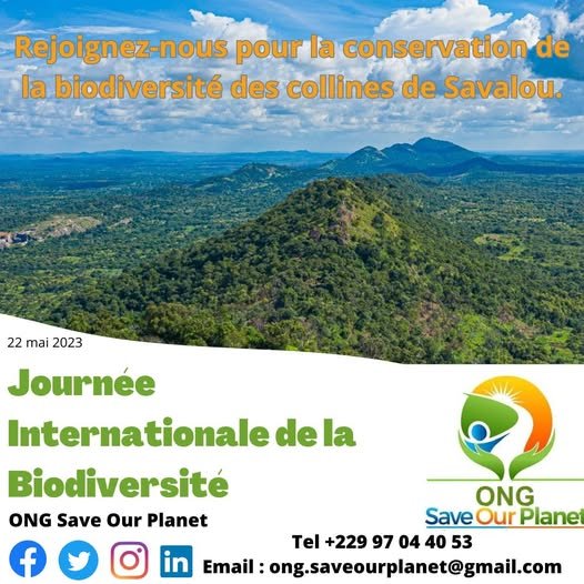 Journée internationale de la biodiversité : l&rsquo;ONG Save Our Planet appelle à préserver les collines de Savalou