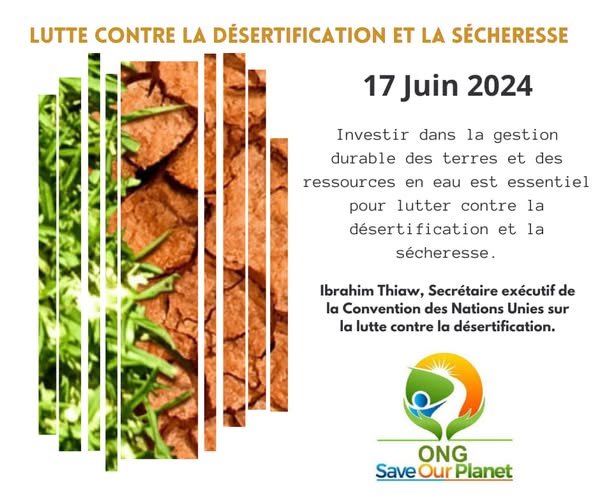 La désertification au Bénin : l&rsquo;ONG Save Our Planet met en place un champ de démonstration agroécologique