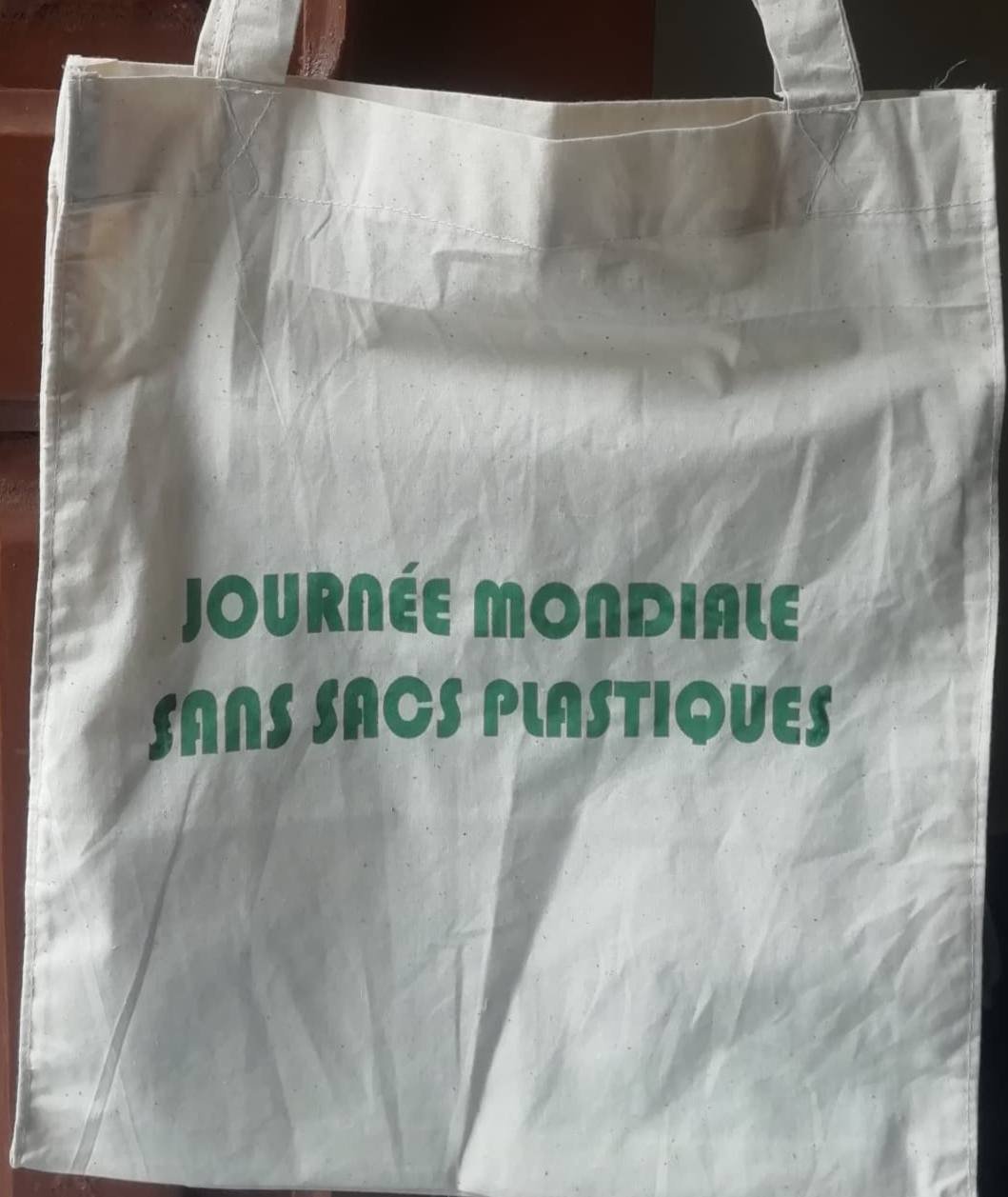 Journée Mondiale Sans Sacs Plastique à Porto-Novo : l&rsquo;ONG Save Our Planet mobilisée pour des alternatives durables